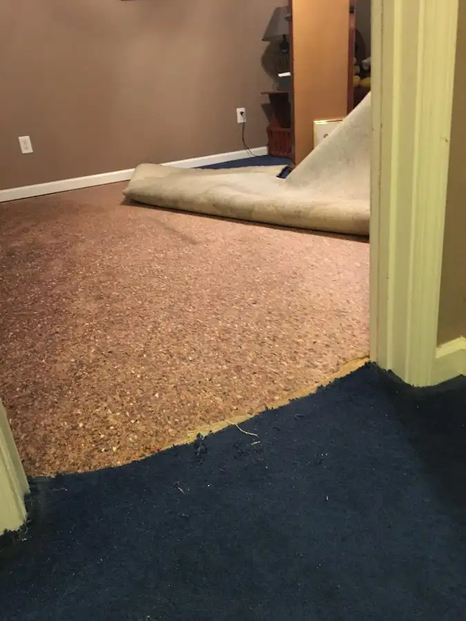 Carpet pad removal revealing water damage during Water Mitigation Services in Wesley Hills